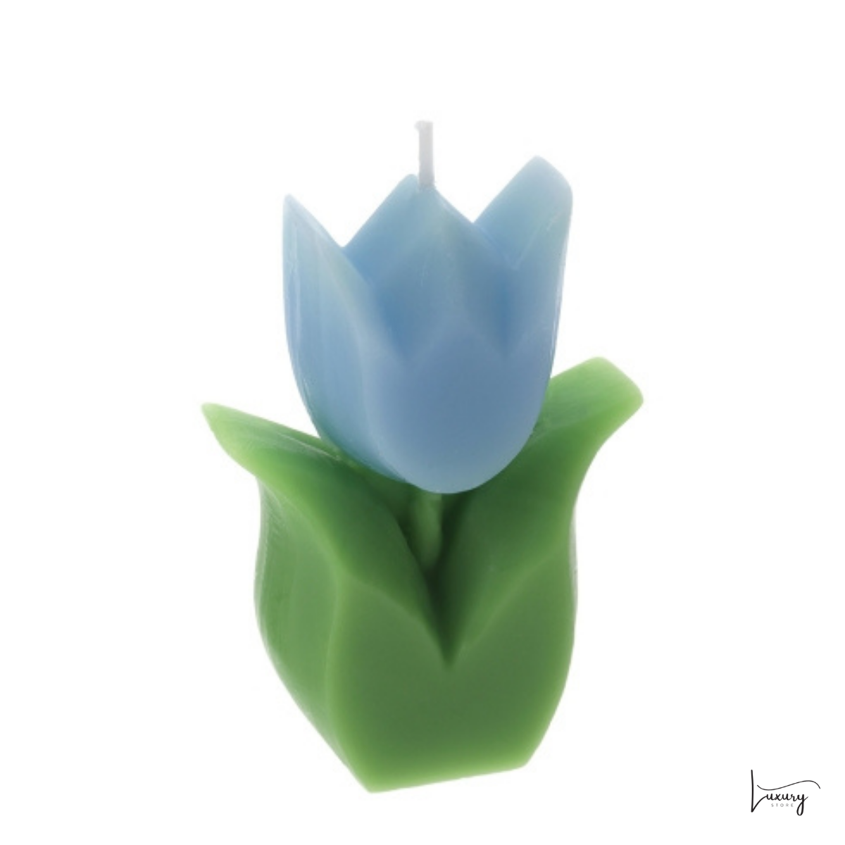 Hervit Candela Tulipano