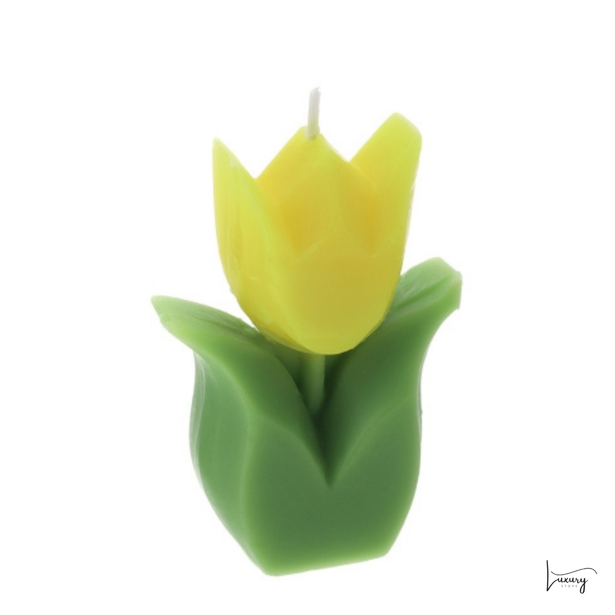 Hervit Candela Tulipano