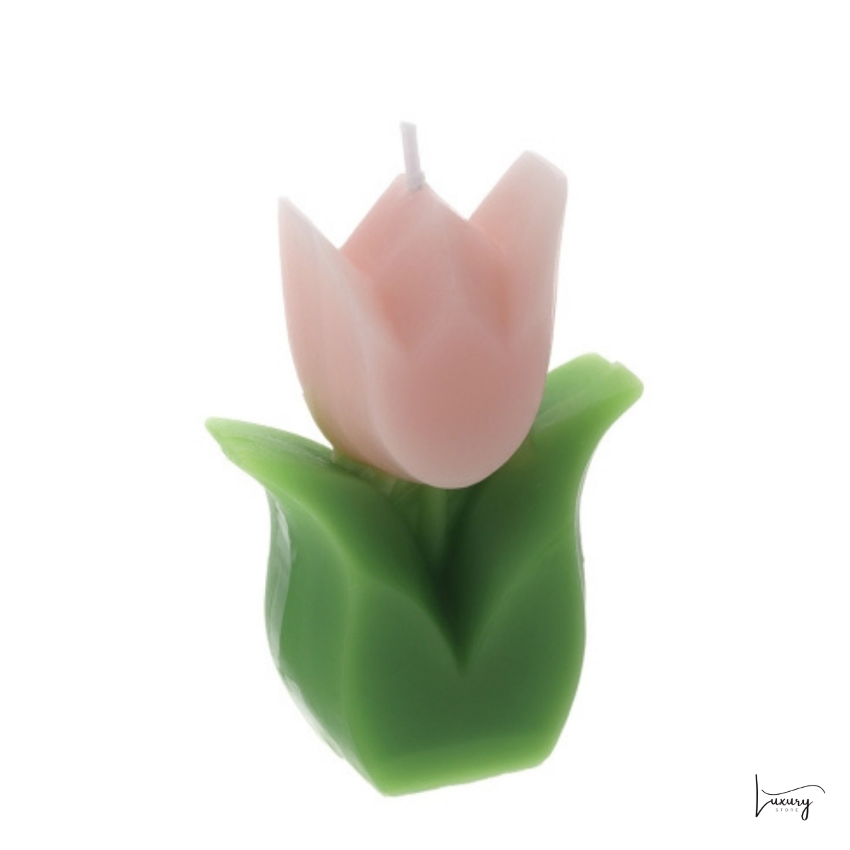 Hervit Candela Tulipano