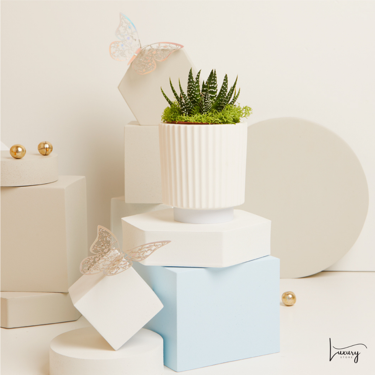 Claraluna Vasetto a righe con Piantina con base