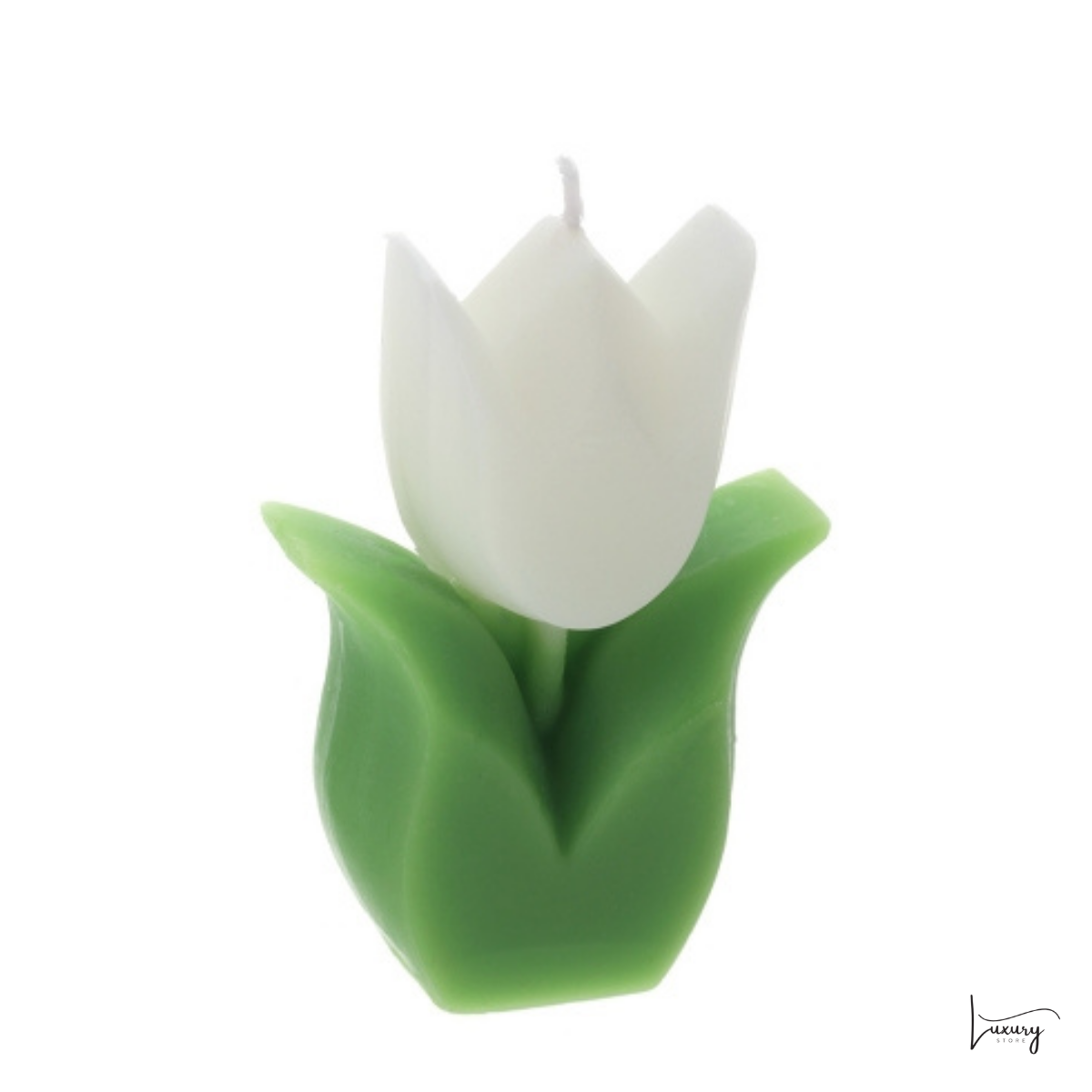 Hervit Candela Tulipano