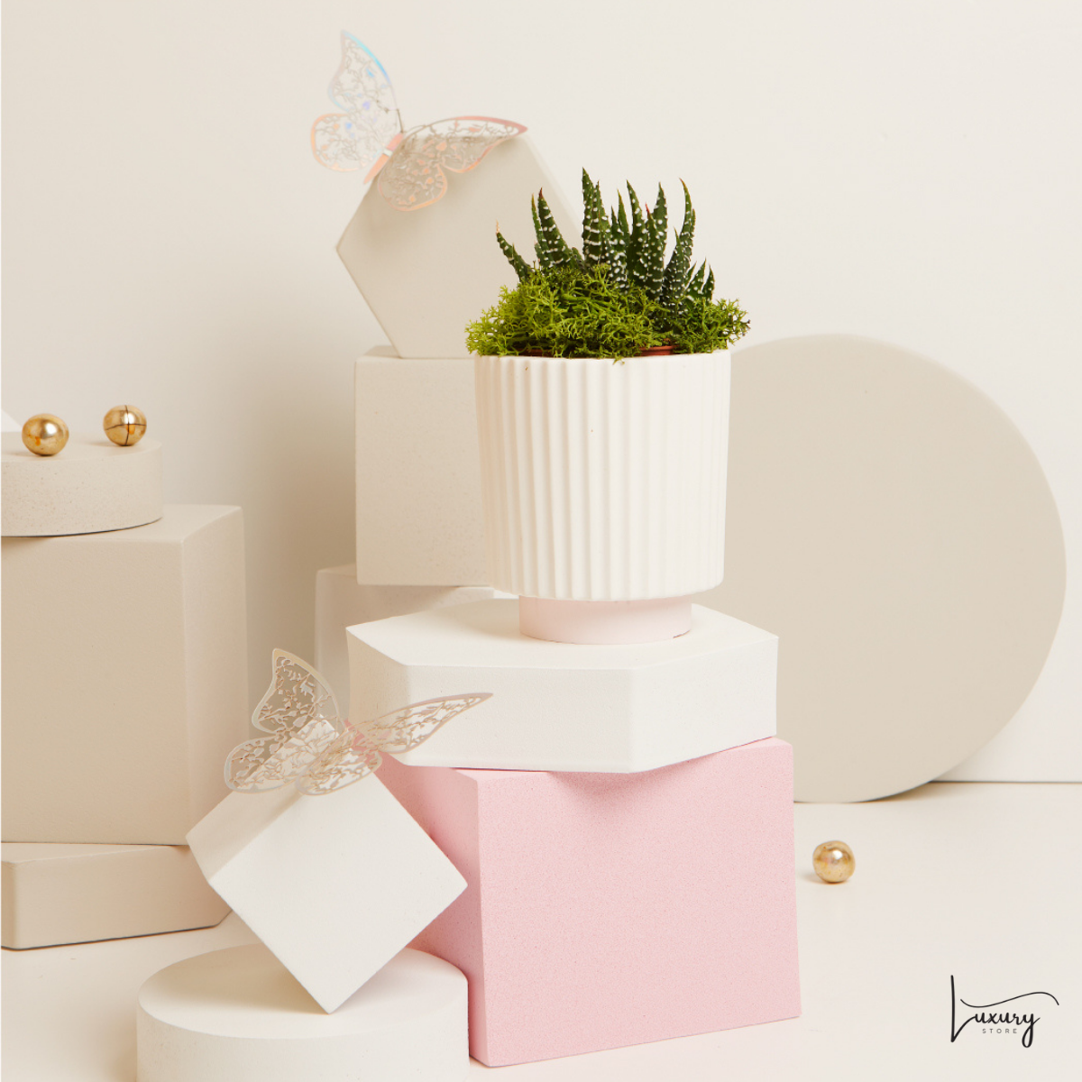 Claraluna Vasetto a righe con Piantina con base