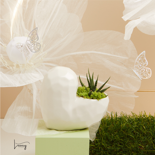 Claraluna Vaso cuore con piantina e muschio