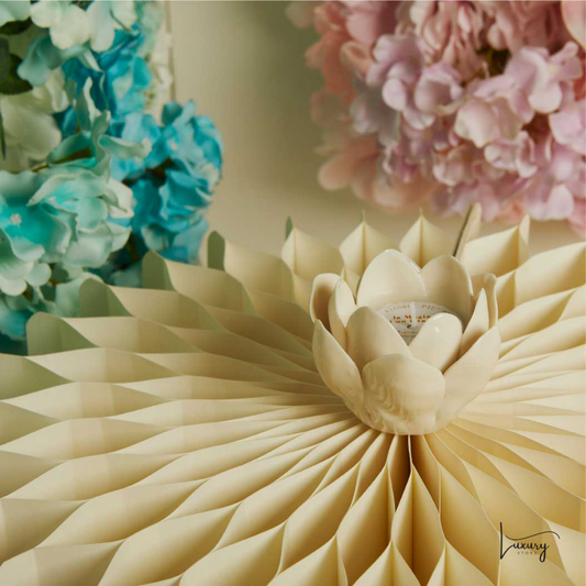 Claraluna Candela Ninfea